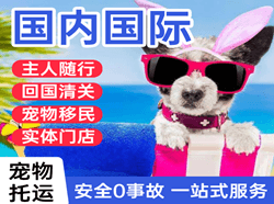 成都双流机场物流国际宠物托运 【国